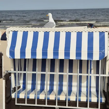 Strandperle *